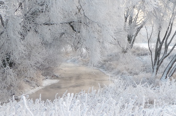 Winter an der Zorge