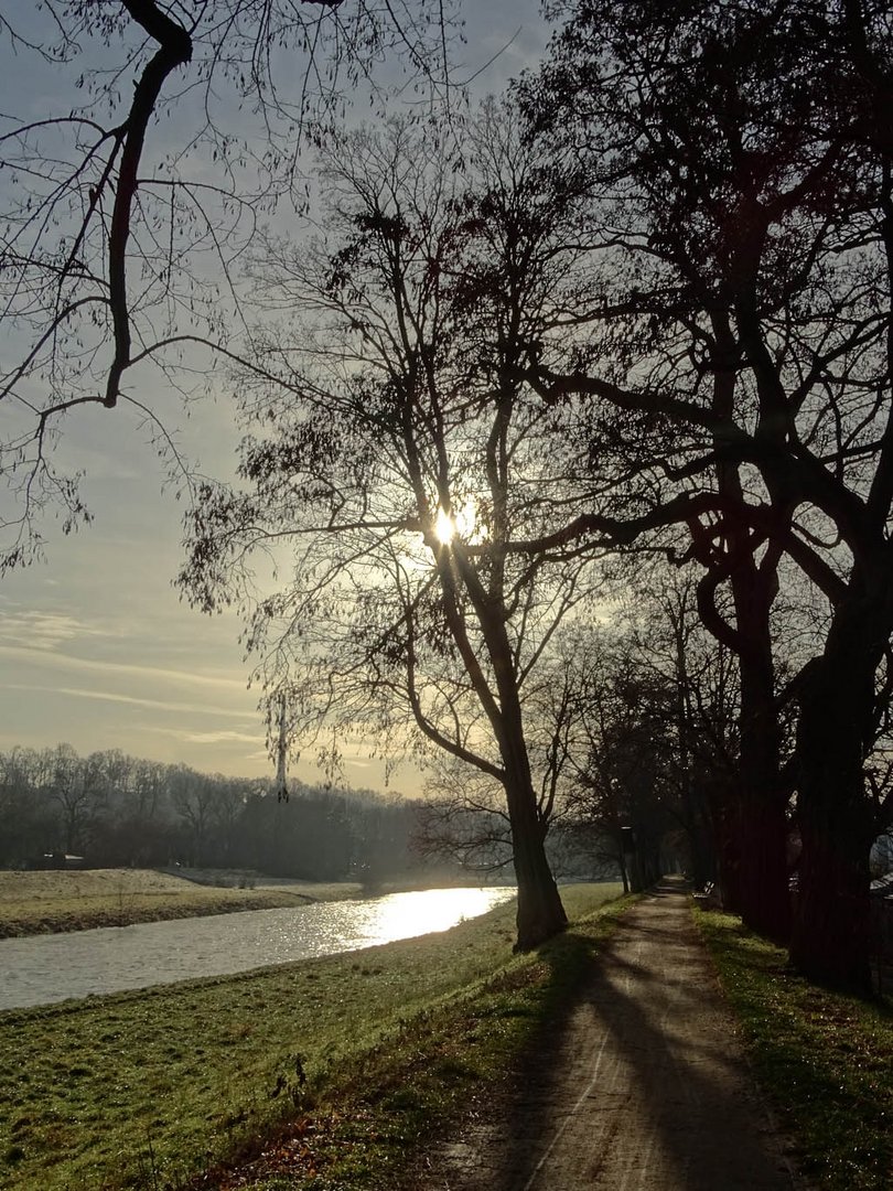 Winter an der Zwickauer Mulde