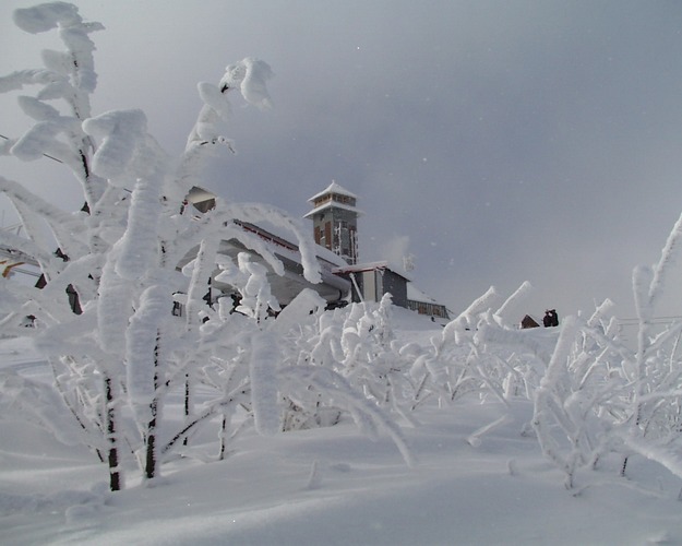 Winter an Sachsens höchster Stelle