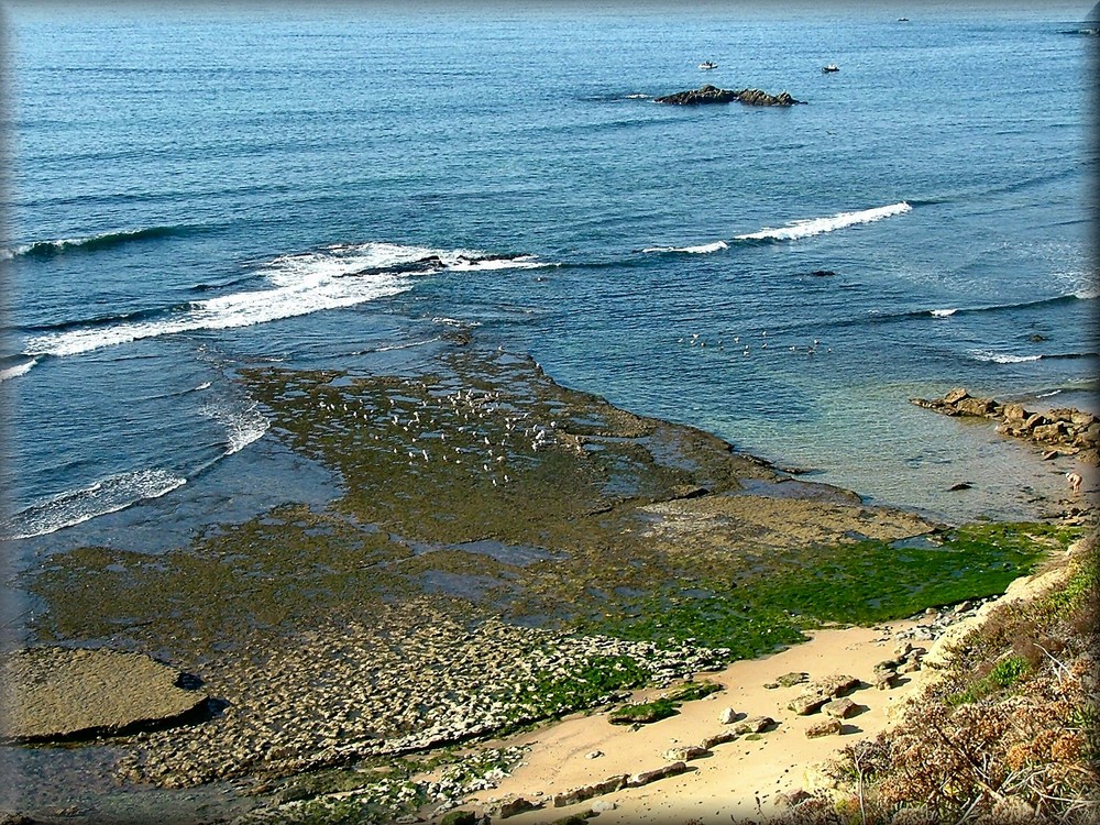 Winter and Sea in Portugal!