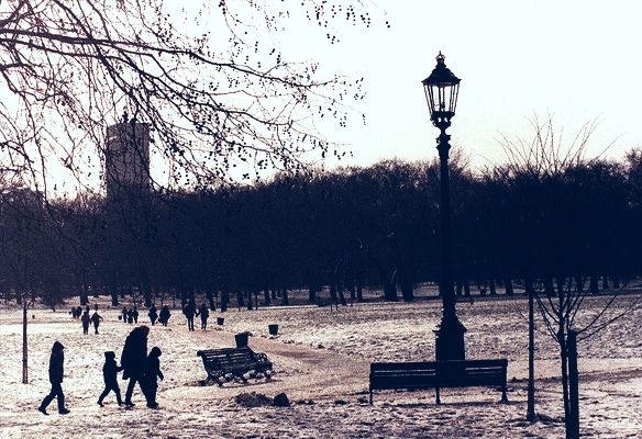 Winter at Hyde Park