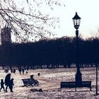 Winter at Hyde Park