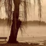 Winter at Lost Lagoon