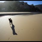 Winter At Noetzie Beach , Knysna, South Africa.