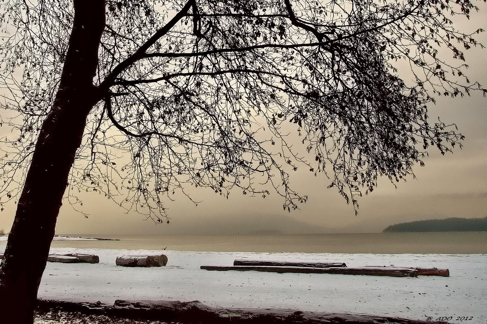 Winter at Spanish Banks