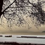 Winter at Spanish Banks