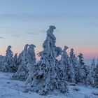 Winter at the Brocken