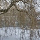 Winter at the Chinese Garden