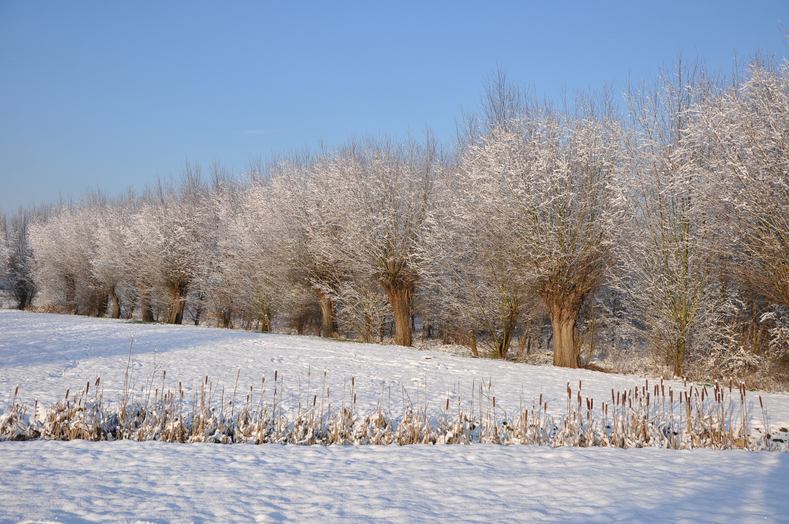 Winter at the Gavers 4