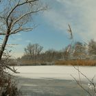 Winter at the lake (1)