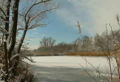 Winter at the lake (1)