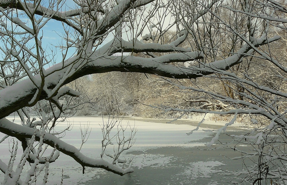 Winter at the lake (2)