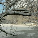 Winter at the lake (2)