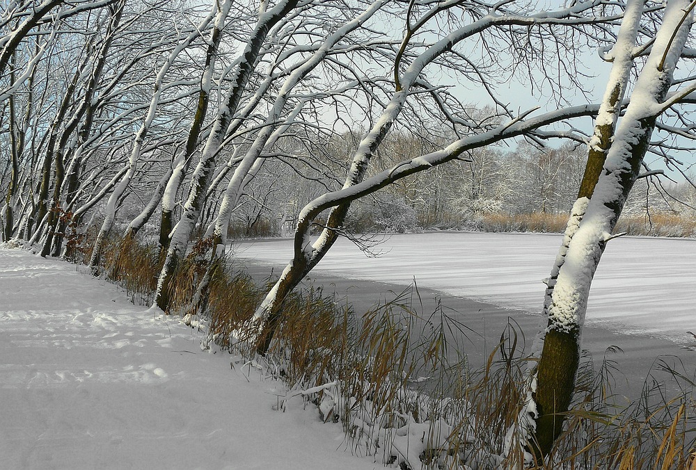 Winter at the lake (3)