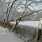 Winter at the lake (3)