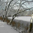 Winter at the lake (3)