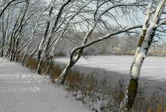 Winter at the lake (3)