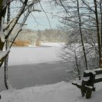 Winter at the lake (4)
