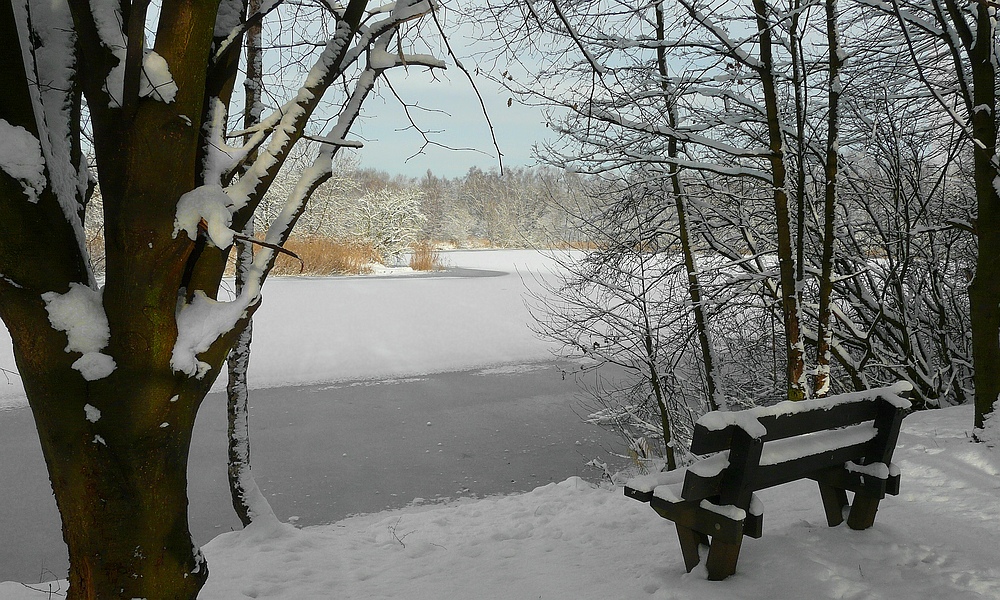 Winter at the lake (4)