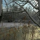 Winter at the lake (6)