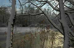 Winter at the lake (6)