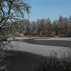 Winter at the lake (7)