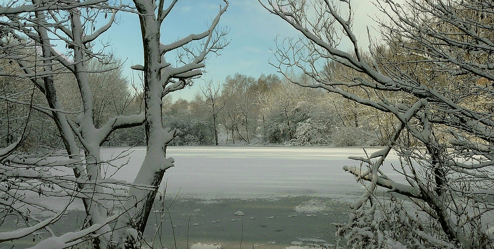 Winter at the lake (8)