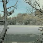 Winter at the lake (8)