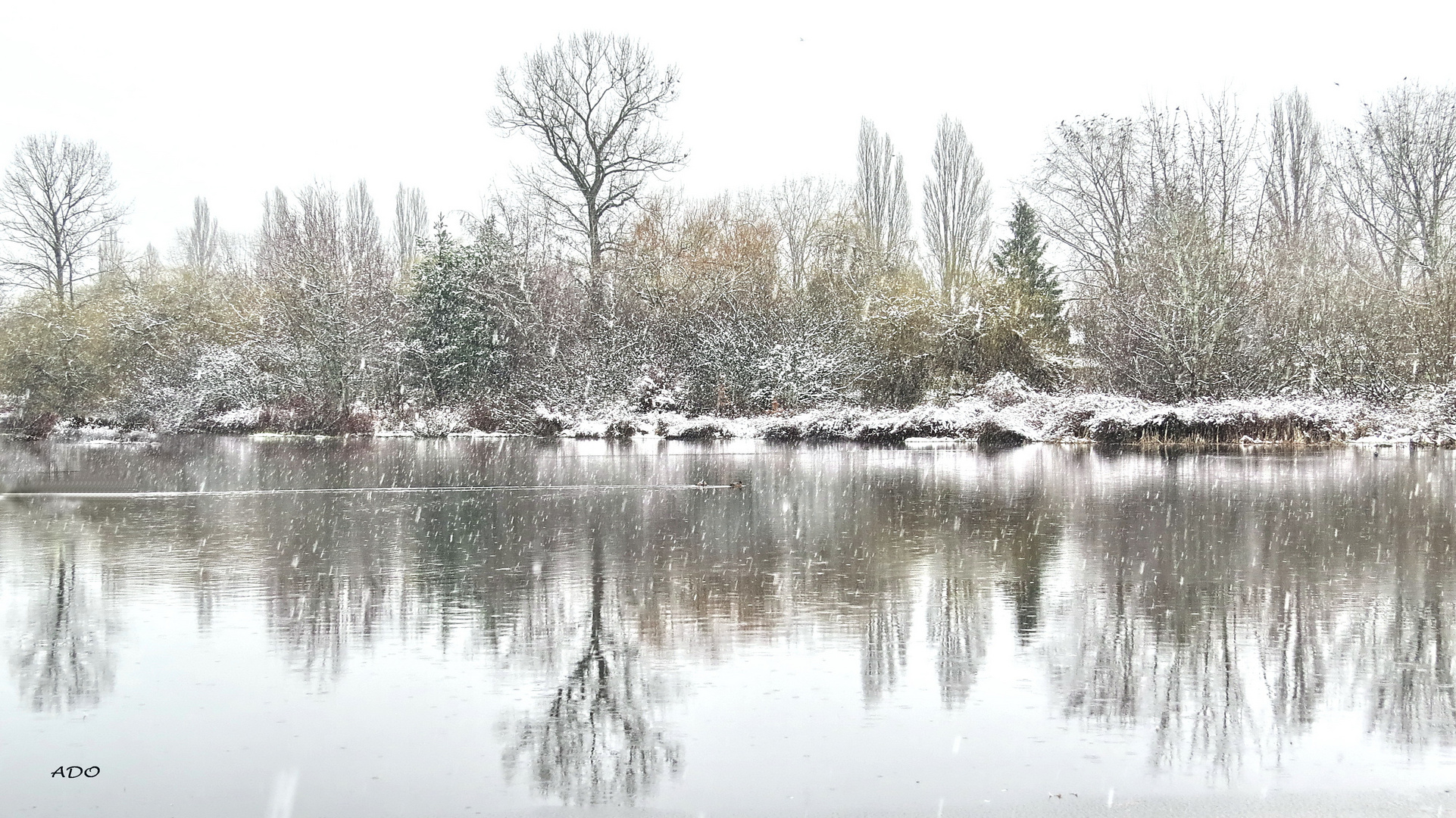 Winter at the Lake