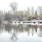 Winter at the Lake