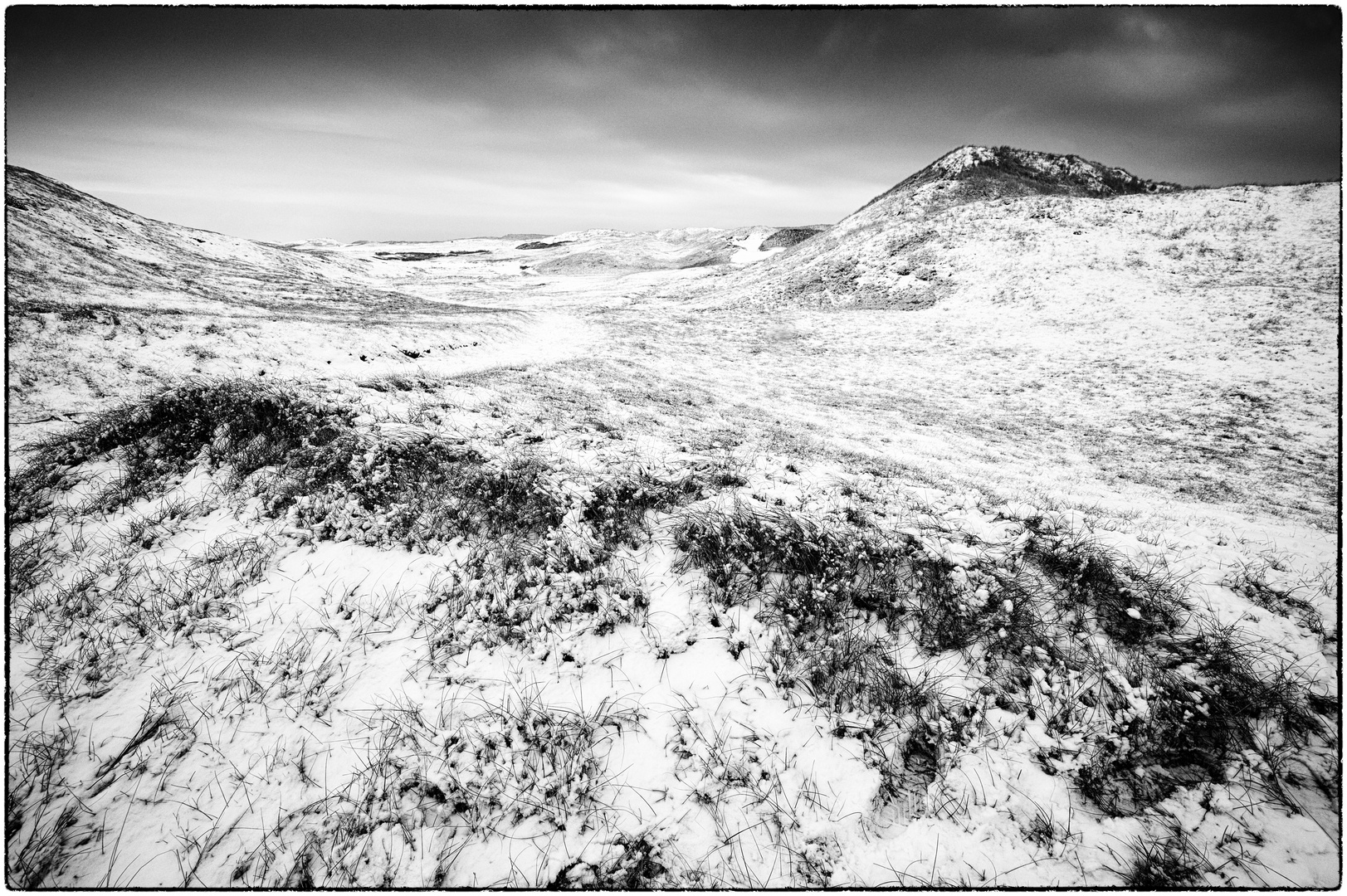 Winter at the North-sea Coast #2 (Dunes)