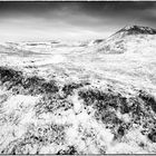 Winter at the North-sea Coast #2 (Dunes)