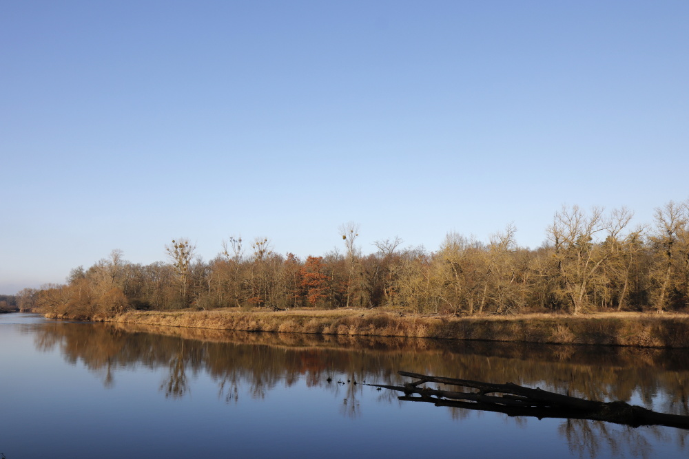 Winter atmoshere at the river Mulde