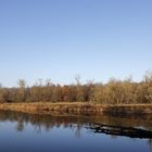 Winter atmoshere at the river Mulde