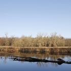 Winter atmosphere at the river Mulde