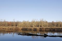 Winter atmosphere at the river Mulde