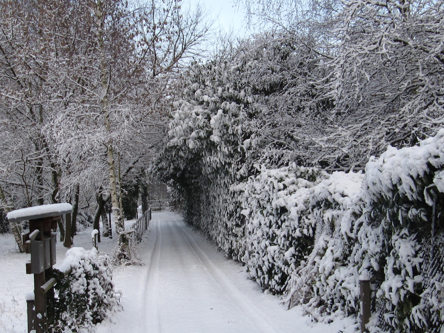 Winter auch auf einem Privatweg.