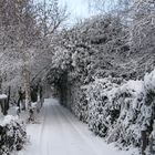 Winter auch auf einem Privatweg.