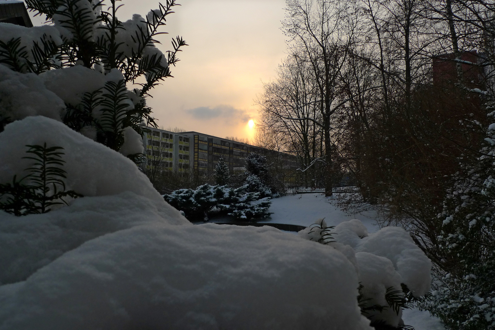 Winter auch in Dresden