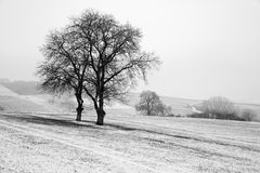 Winter auch in Rheinhessen...