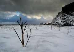 Winter auch in Vik