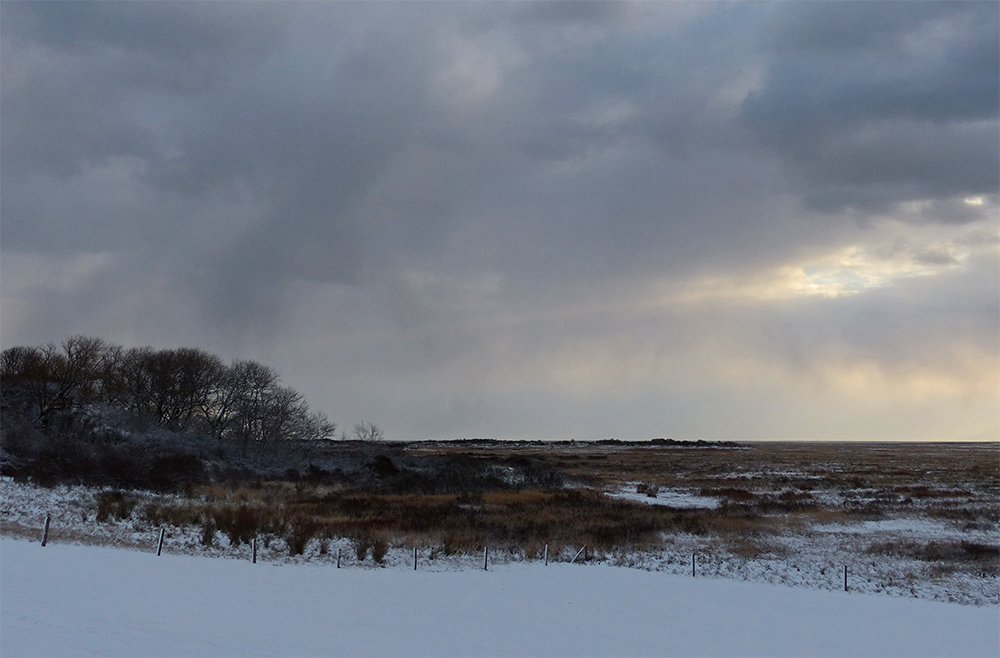 Winter auf Borkum 2