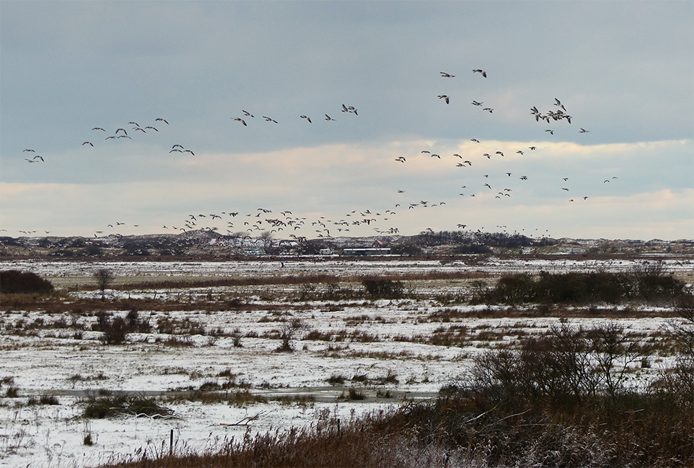 Winter auf Borkum 3