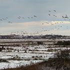 Winter auf Borkum 3