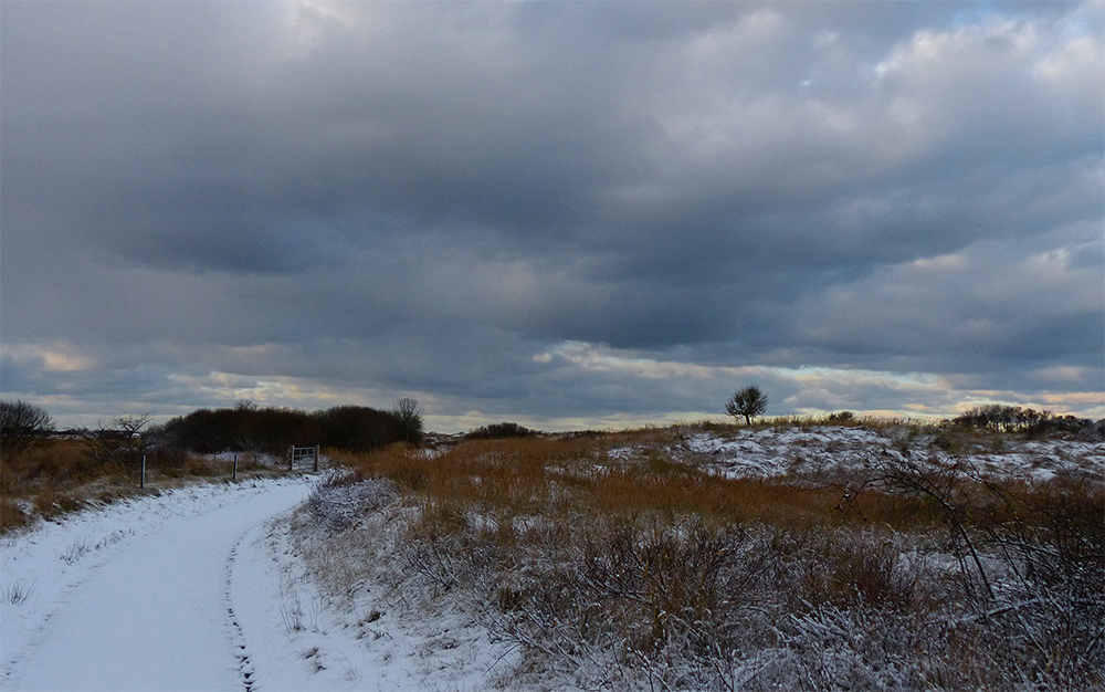 Winter auf Borkum