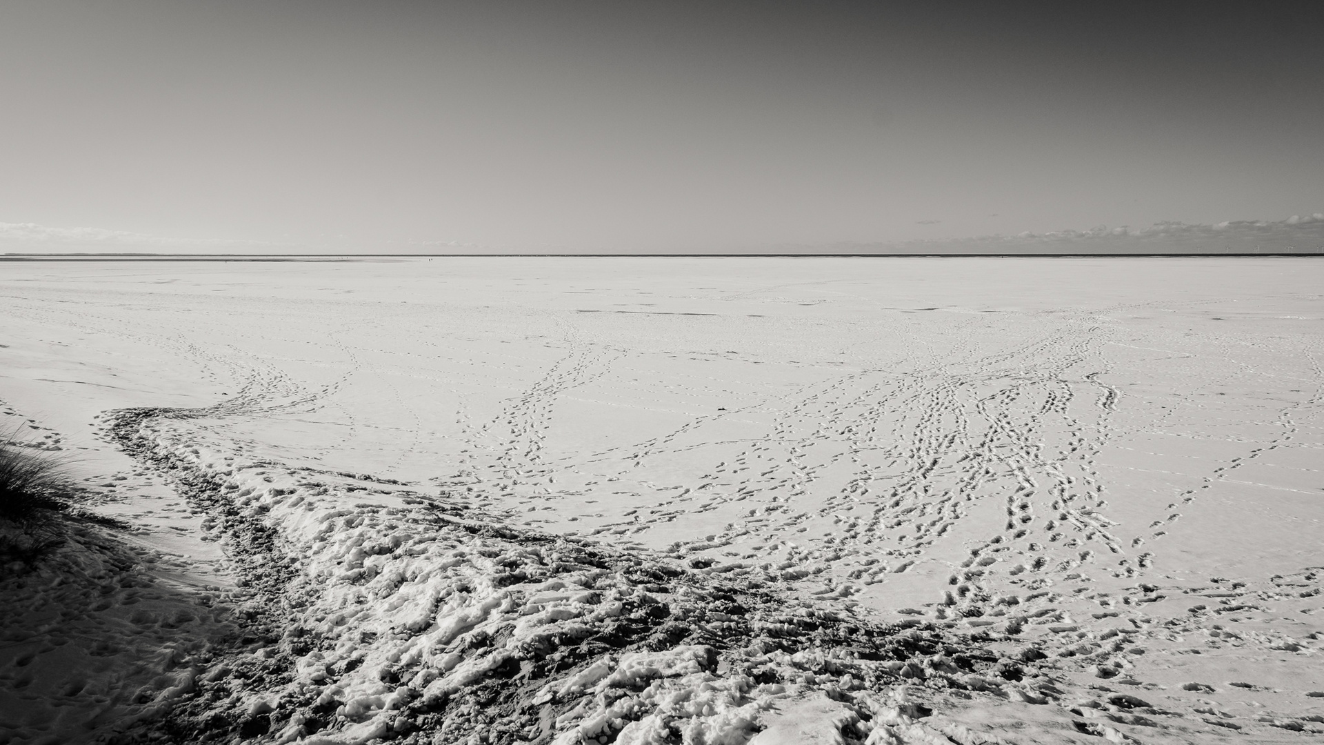 Winter auf Borkum II