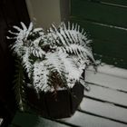 Winter auf dem Balkon