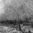 Winter auf dem Bauernhof