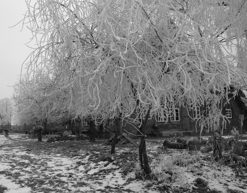 Winter auf dem Bauernhof