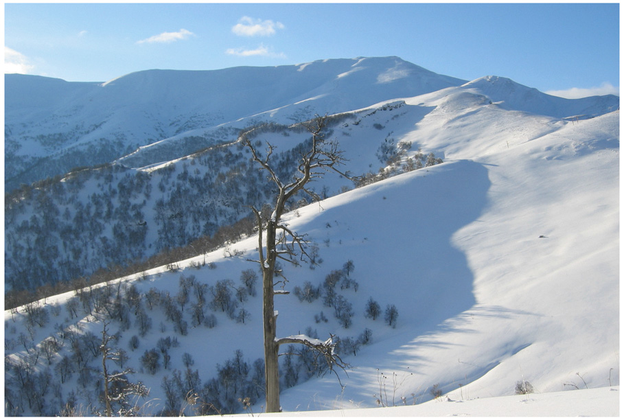 Winter auf dem Berg